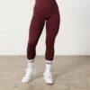 Vanquish Elevate Seamless Burgundy Leggings -Vanquish Fitness 123 11