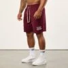 Vanquish Bodybuilding Burgundy Mesh Shorts -Vanquish Fitness FIRSTSHOT 1674f14e 91e3 4ef0 8fcd 97e3020d8793