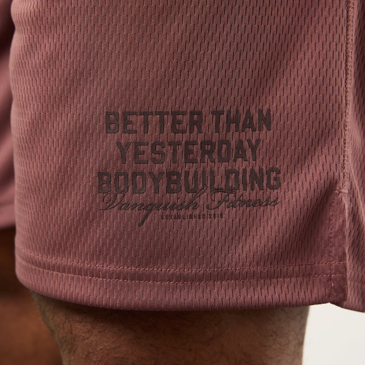 Vanquish Bodybuilding Dark Mauve Mesh Shorts 5 Vanquish Bodybuilding Dark Mauve Mesh Shorts - Image 3