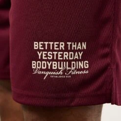 Vanquish Bodybuilding Burgundy Mesh Shorts -Vanquish Fitness VQFit MensSSE commerce6322