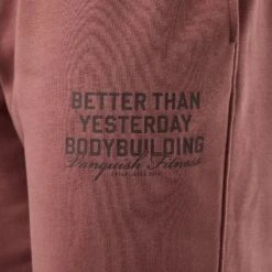 Vanquish Bodybuilding Dark Mauve Oversized Sweatpants -Vanquish Fitness VQFit MensSSE commerce6467