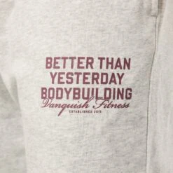 Vanquish Bodybuilding Oat Marl Oversized Sweatpants 11 Vanquish Bodybuilding Oat Marl Oversized Sweatpants -Vanquish Fitness VQFit MensSSE commerce6646 1