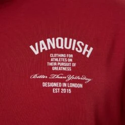Vanquish TSP Pursuit Burgundy Oversized T Shirt 13 Vanquish TSP Pursuit Burgundy Oversized T Shirt -Vanquish Fitness WB Summer Sale websize45 f65ffbeb 84b4 4421 ae42 216e529a0344