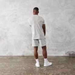 Vanquish Essential Grey Regular Fit Shorts -Vanquish Fitness vanquish essential grey regular fit shorts 846838